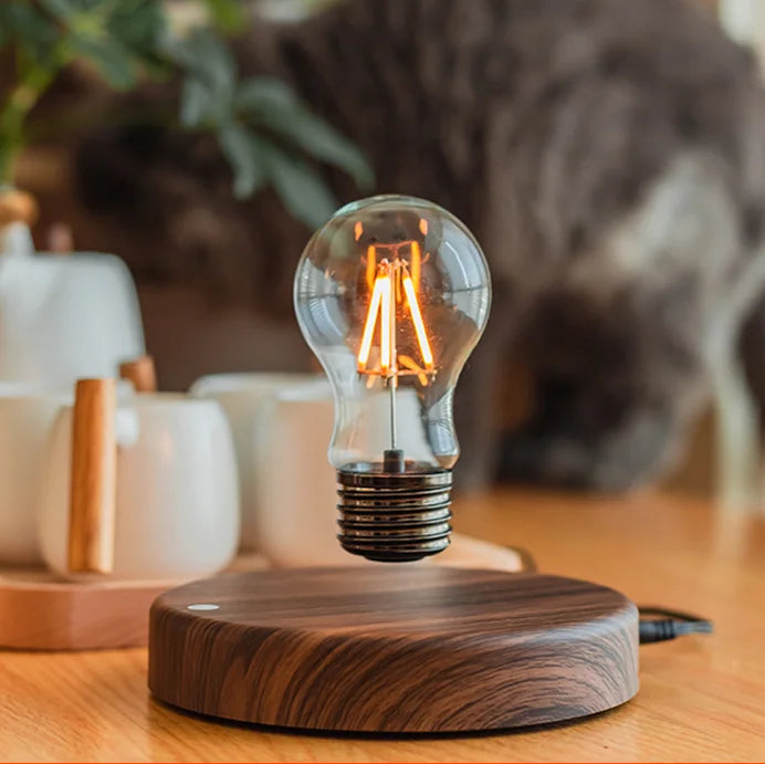 Magnetic Levitating Light Bulb | Floating LED Desk Lamp with Touch Control – Unique Gift for Home & Office